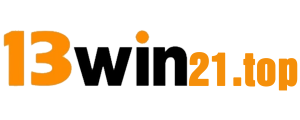 13win21 logo